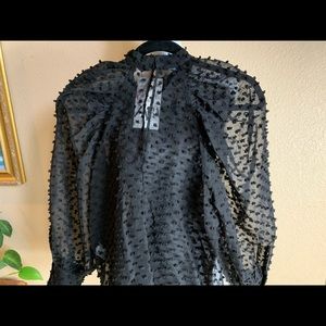NWT- Zara Semi-Sheer Swiss Dot Blouse.  Size XS